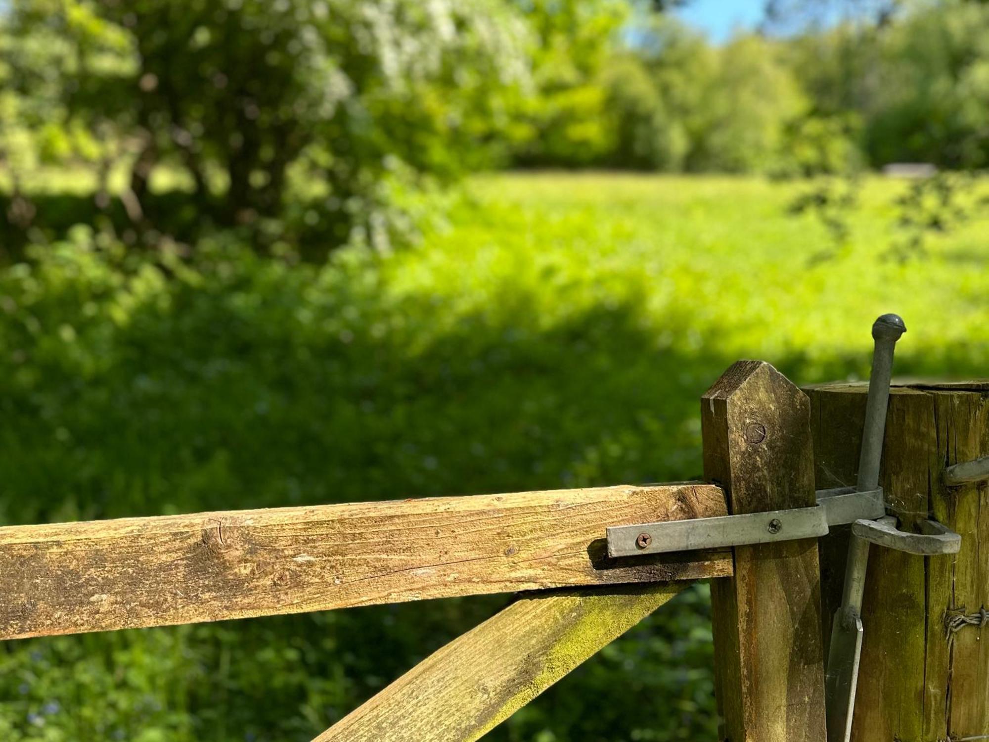Bedwen Villa Llanarth  Dış mekan fotoğraf